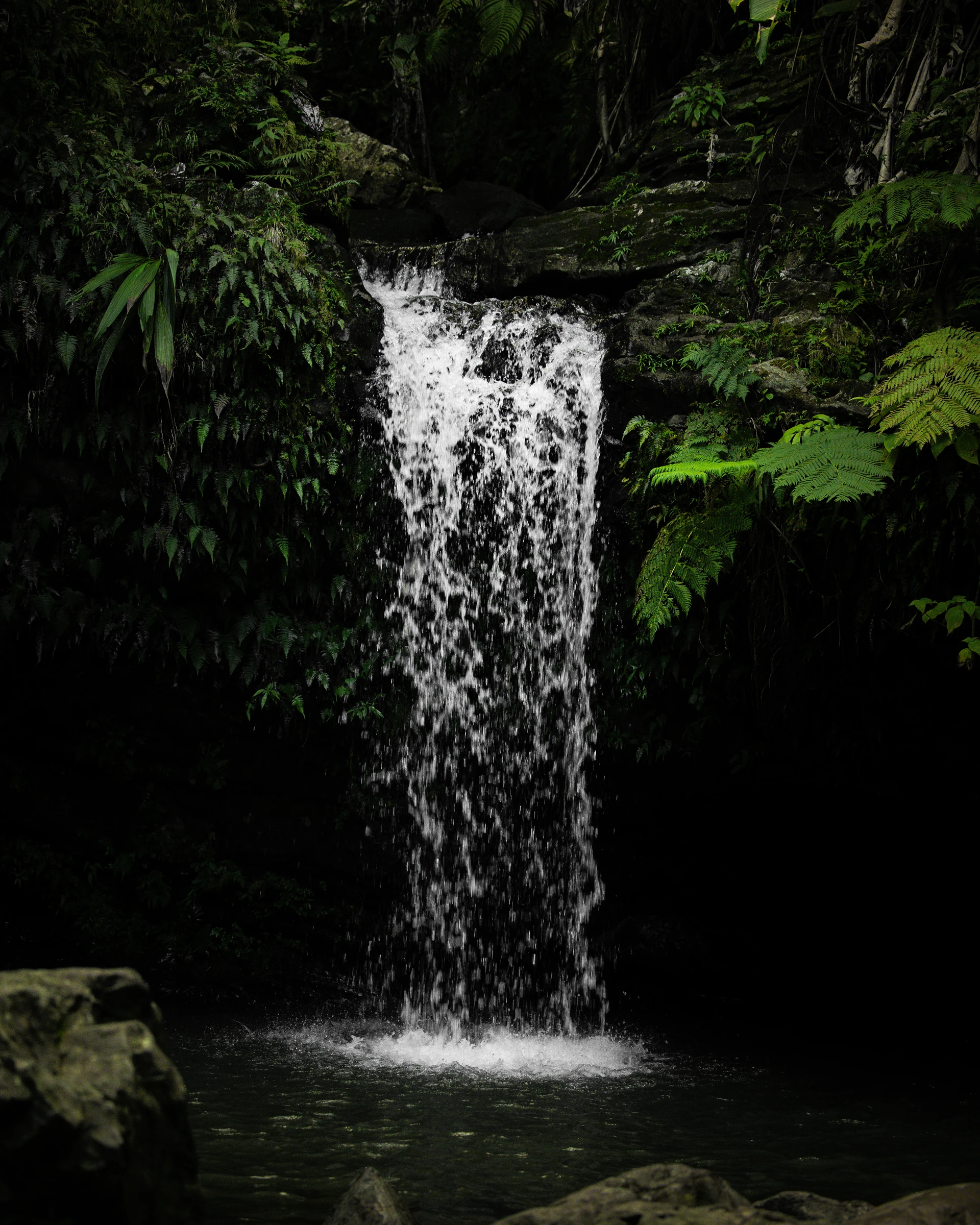 Waterfall surrounded by tropical foliage in Puerto Rico